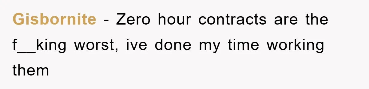 Gisbornite − Zero hour contracts are the f__king worst, ive done my time working them