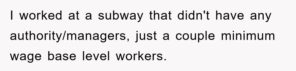 I worked at a subway that didn't have any authority/managers, just a couple minimum wage base level workers.