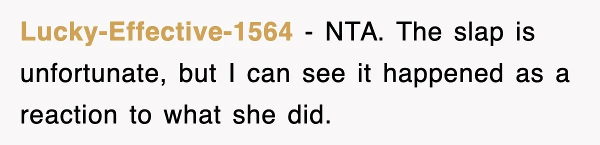 Lucky-Effective-1564 − NTA. The slap is unfortunate, but I can see it happened as a reaction to what she did.