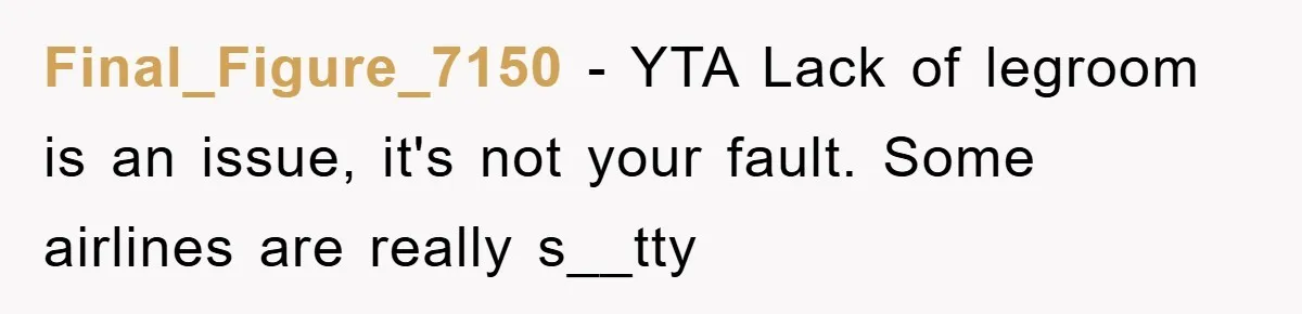 Final_Figure_7150 − YTA Lack of legroom is an issue, it's not your fault. Some airlines are really s__tty