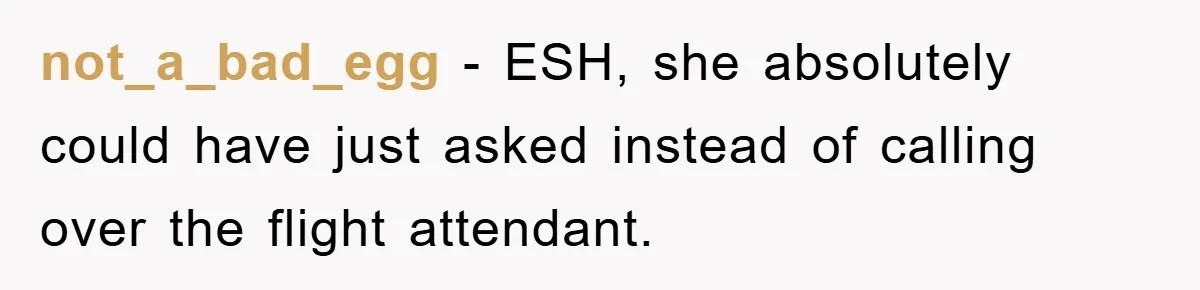 not_a_bad_egg − ESH, she absolutely could have just asked instead of calling over the flight attendant.