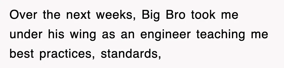 Over the next weeks, Big Bro took me under his wing as an engineer teaching me best practices, standards,