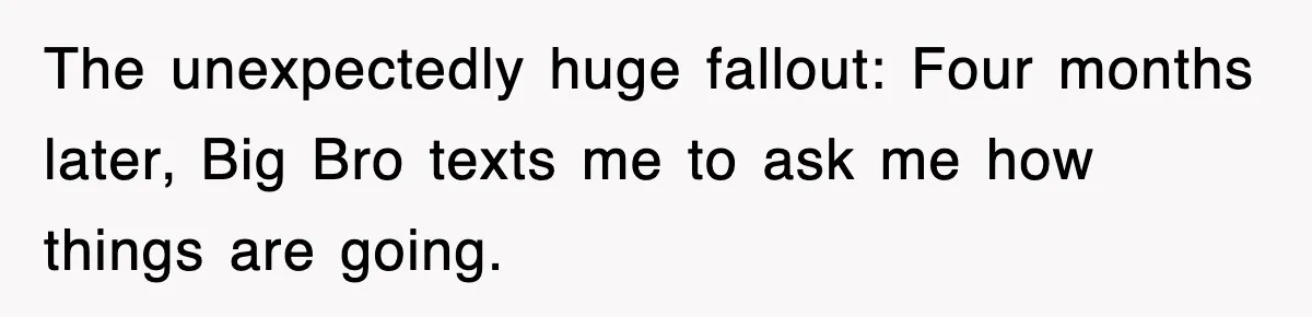 The unexpectedly huge fallout: Four months later, Big Bro texts me to ask me how things are going.