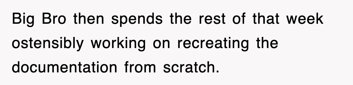 Big Bro then spends the rest of that week ostensibly working on recreating the documentation from scratch.