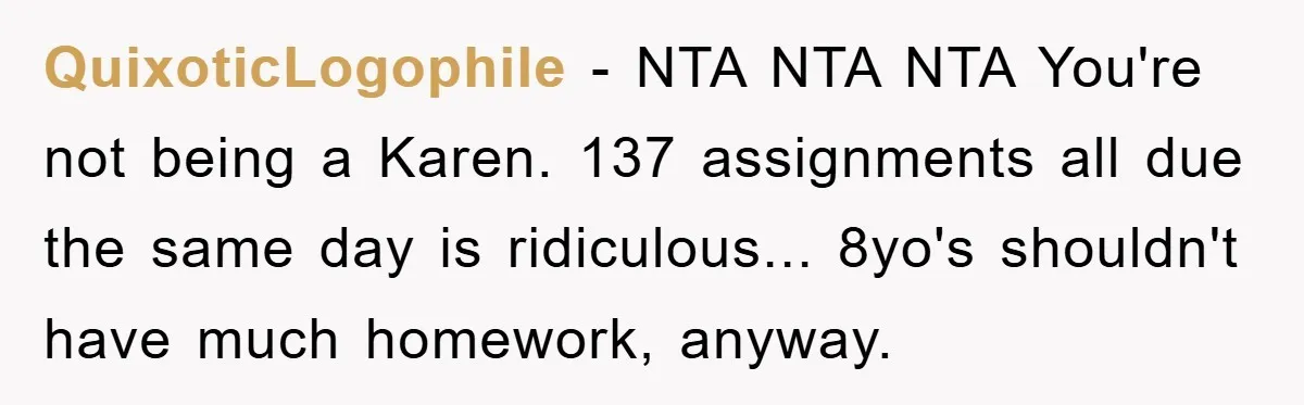 QuixoticLogophile - NTA NTA NTA You're not being a Karen. 137 assignments all due the same day is ridiculous... 8yo's shouldn't have much homework, anyway.