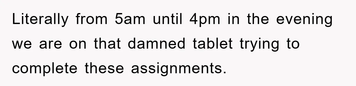 Literally from 5am until 4pm in the evening we are on that damned tablet trying to complete these assignments.