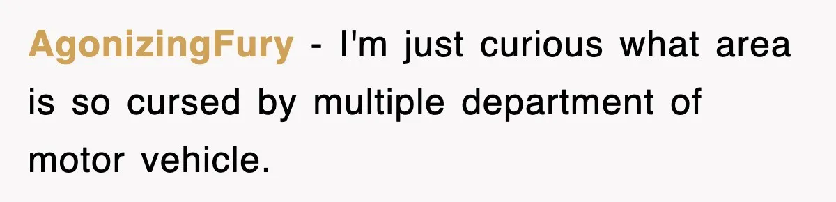 AgonizingFury − I'm just curious what area is so cursed by multiple department of motor vehicle.