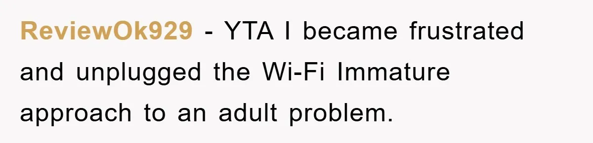 ReviewOk929 − YTA I became frustrated and unplugged the Wi-Fi Immature approach to an adult problem.