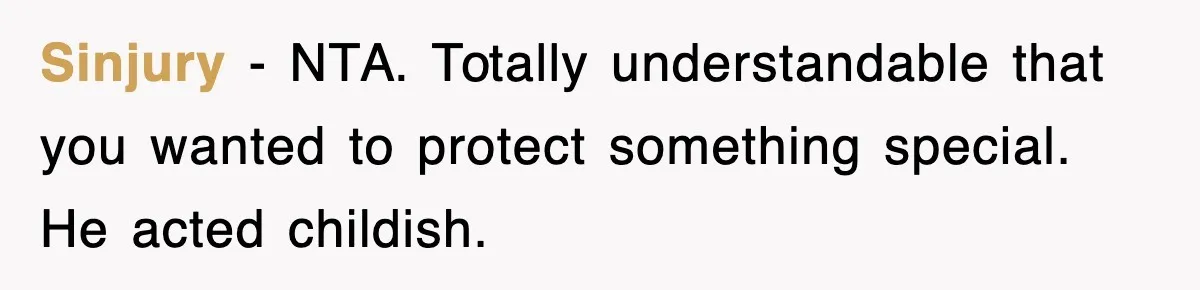 Sinjury - NTA. Totally understandable that you wanted to protect something special. He acted childish.