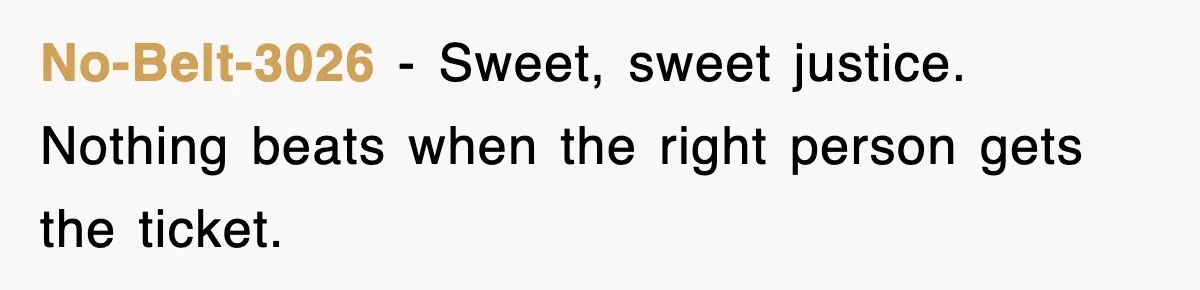 No-Belt-3026 - Sweet, sweet justice. Nothing beats when the right person gets the ticket.