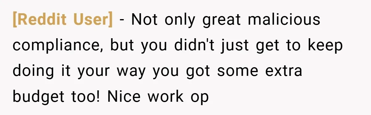 [Reddit User] − Not only great malicious compliance, but you didn't just get to keep doing it your way you got some extra budget too! Nice work op