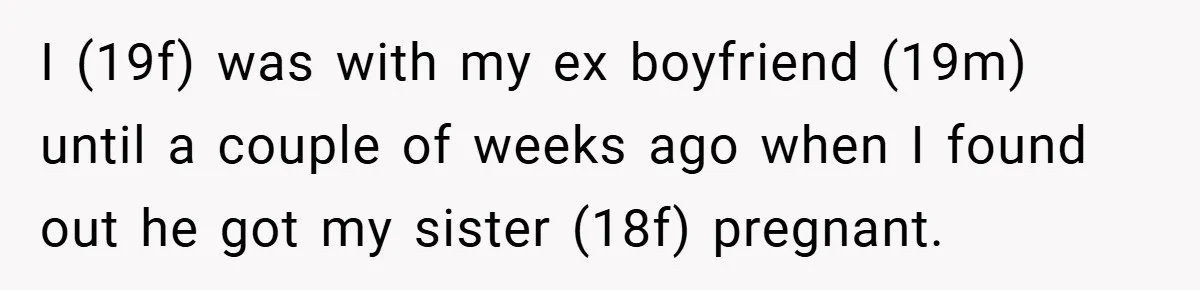 I (19f) was with my ex boyfriend (19m) until a couple of weeks ago when I found out he got my sister (18f) pregnant.
