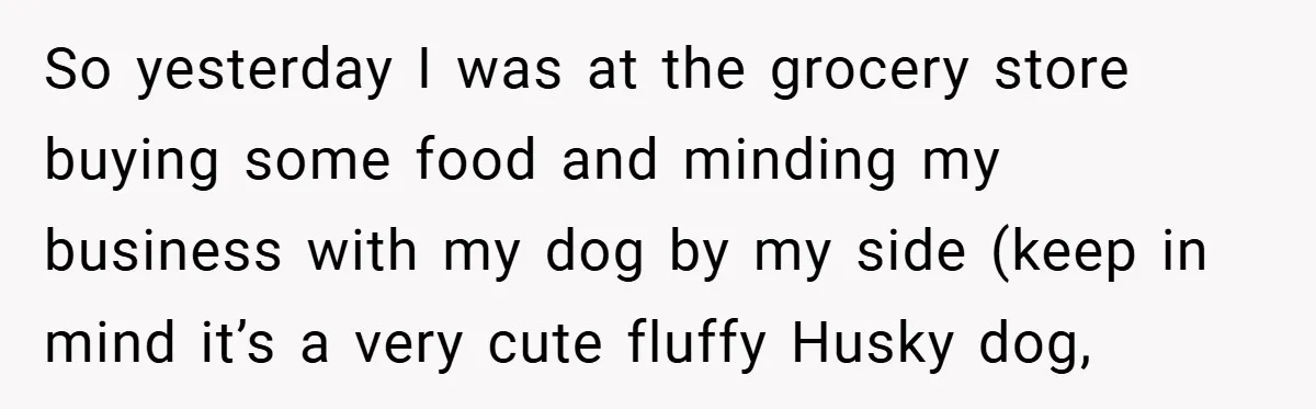 She Refused to Let Boy Pet Her Working Dog - Then Asked to Touch His Wheelchair So yesterday I was at the grocery store buying some food and minding my business with my dog by my side (keep in mind it’s a very cute fluffy Husky...