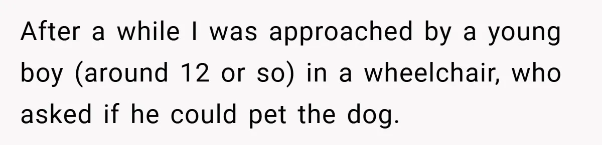She Refused to Let Boy Pet Her Working Dog - Then Asked to Touch His Wheelchair After a while I was approached by a young boy (around 12 or so) in a wheelchair, who asked if he could pet the dog.
