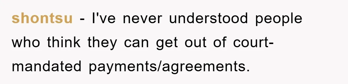 shontsu − I've never understood people who think they can get out of court-mandated payments/agreements.