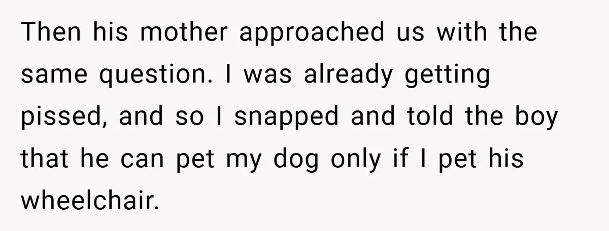 She Refused to Let Boy Pet Her Working Dog - Then Asked to Touch His Wheelchair Then his mother approached us with the same question. I was already getting pissed, and so I snapped and told the boy that he can pet my dog only if...