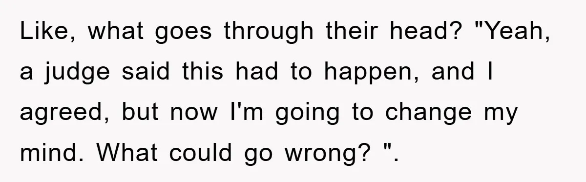 Like, what goes through their head? "Yeah, a judge said this had to happen, and I agreed, but now I'm going to change my mind. What could go wrong? ".