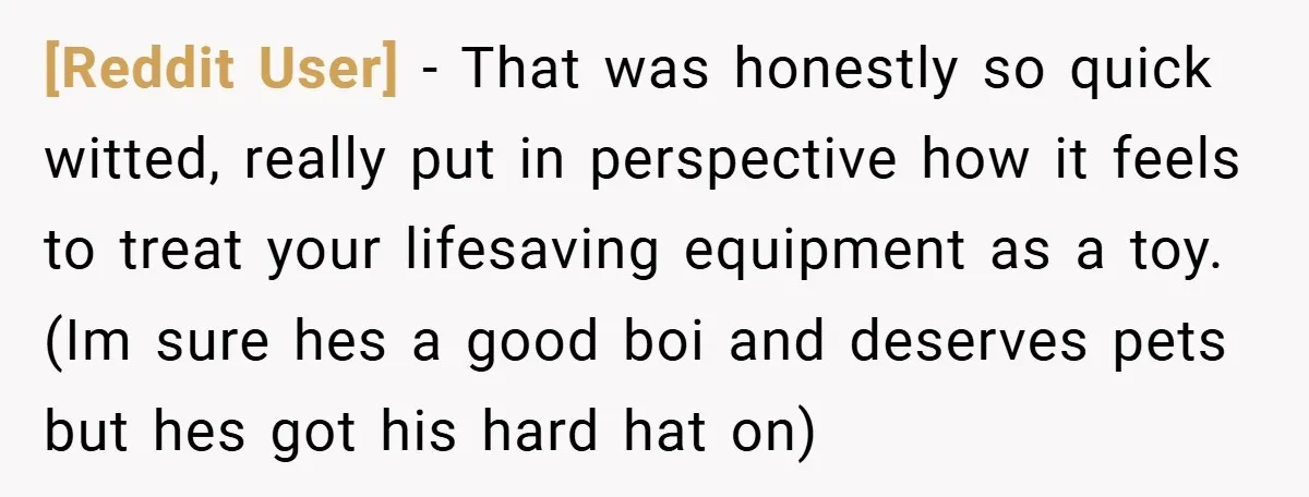 [Reddit User] − That was honestly so quick witted, really put in perspective how it feels to treat your lifesaving equipment as a toy. (Im sure hes a good boi...