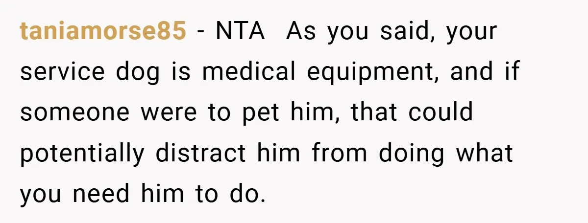 She Refused to Let Boy Pet Her Working Dog - Then Asked to Touch His Wheelchair taniamorse85 − NTA As you said, your service dog is medical equipment, and if someone were to pet him, that could potentially distract him from doing what you need...