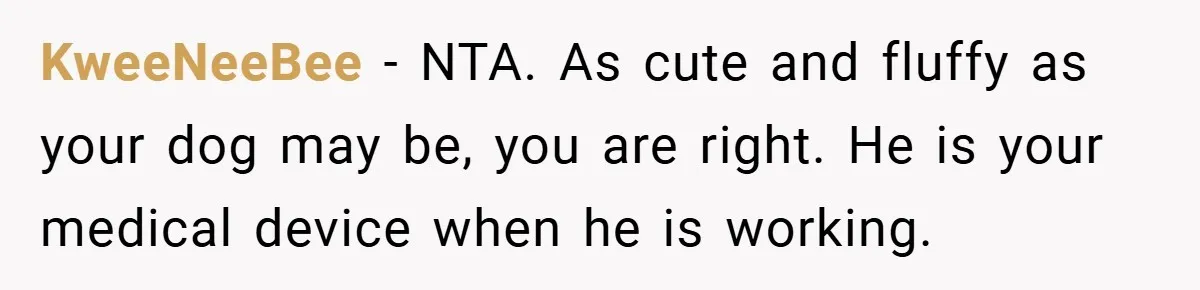She Refused to Let Boy Pet Her Working Dog - Then Asked to Touch His Wheelchair KweeNeeBee − NTA. As cute and fluffy as your dog may be, you are right. He is your medical device when he is working.