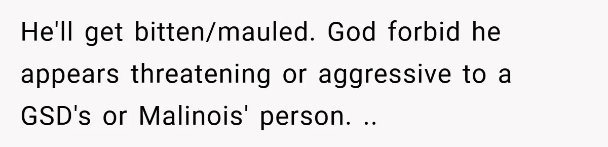 She Refused to Let Boy Pet Her Working Dog - Then Asked to Touch His Wheelchair He'll get bitten/mauled. God forbid he appears threatening or aggressive to a GSD's or Malinois' person. ..