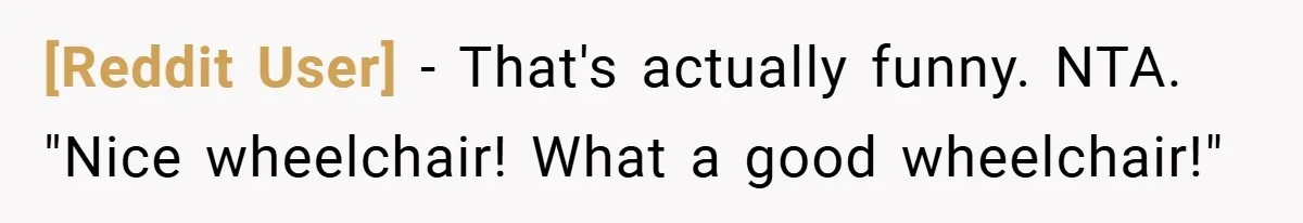 [Reddit User] − That's actually funny. NTA. "Nice wheelchair! What a good wheelchair!"