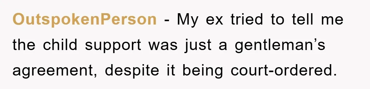 OutspokenPerson − My ex tried to tell me the child support was just a gentleman’s agreement, despite it being court-ordered.