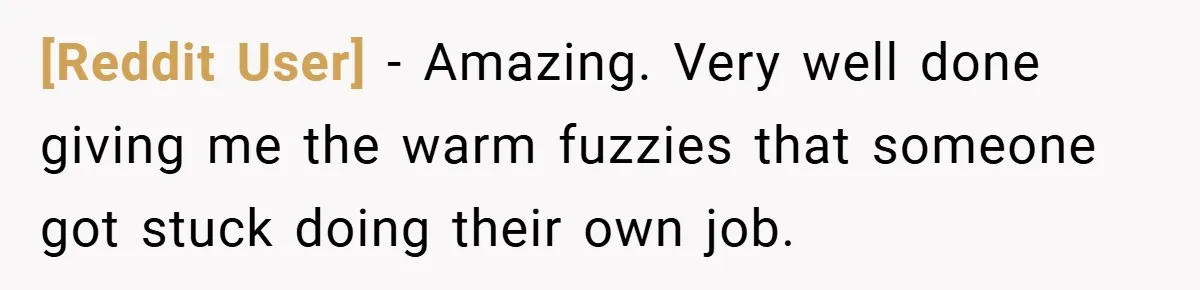 [Reddit User] − Amazing. Very well done giving me the warm fuzzies that someone got stuck doing their own job.