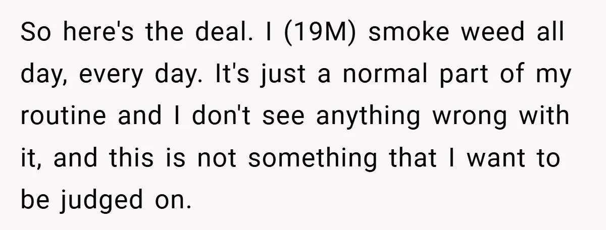 So here's the deal. I (19M) smoke weed all day, every day. It's just a normal part of my routine and I don't see anything wrong with it, and this...