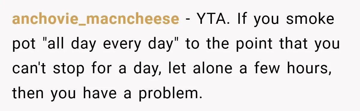 anchovie_macncheese − YTA. If you smoke pot "all day every day" to the point that you can't stop for a day, let alone a few hours, then you have a...