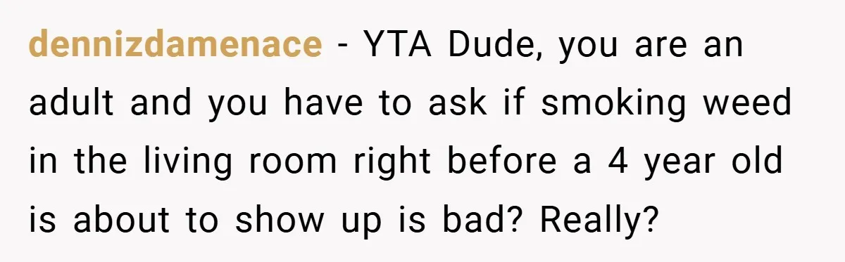 dennizdamenace − YTA Dude, you are an adult and you have to ask if smoking weed in the living room right before a 4 year old is about to show...
