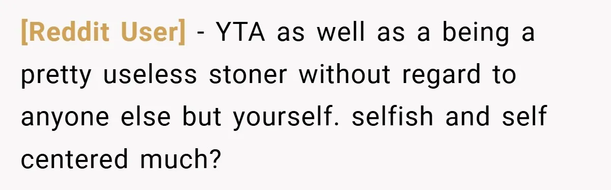 [Reddit User] − YTA as well as a being a pretty useless stoner without regard to anyone else but yourself. selfish and self centered much?