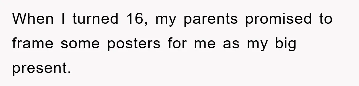 When I turned 16, my parents promised to frame some posters for me as my big present.