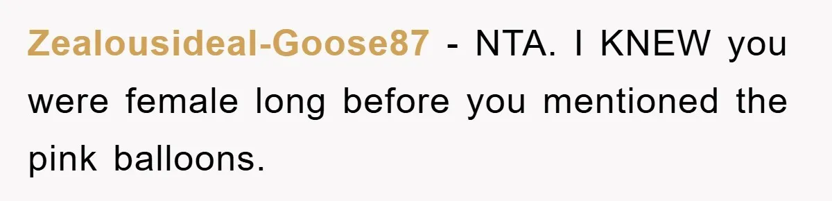 Zealousideal-Goose87 − NTA. I KNEW you were female long before you mentioned the pink balloons.