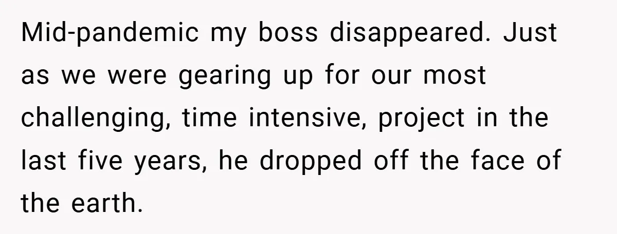 Mid-pandemic my boss disappeared. Just as we were gearing up for our most challenging, time intensive, project in the last five years, he dropped off the face of the earth.