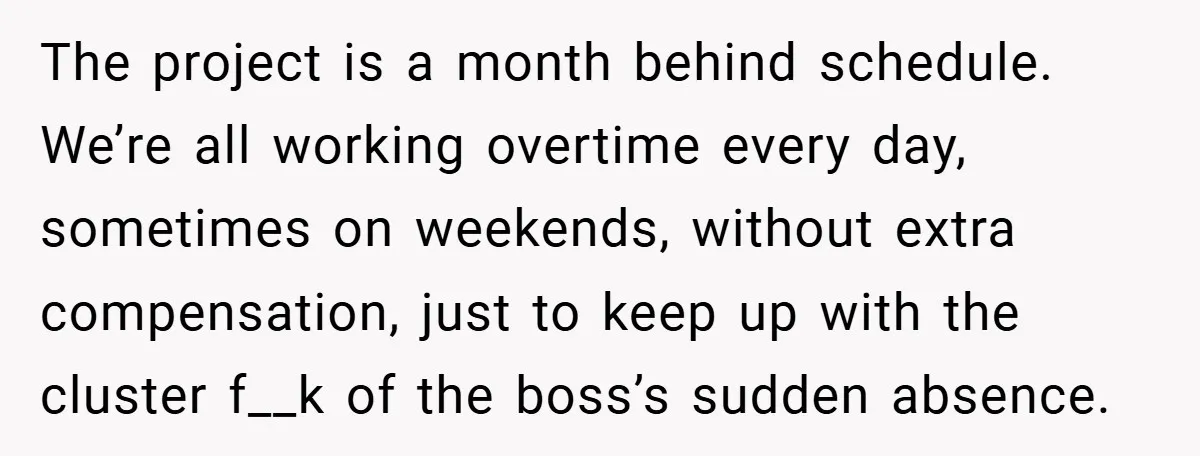 The project is a month behind schedule. We’re all working overtime every day, sometimes on weekends, without extra compensation, just to keep up with the cluster f__k of the boss’s...