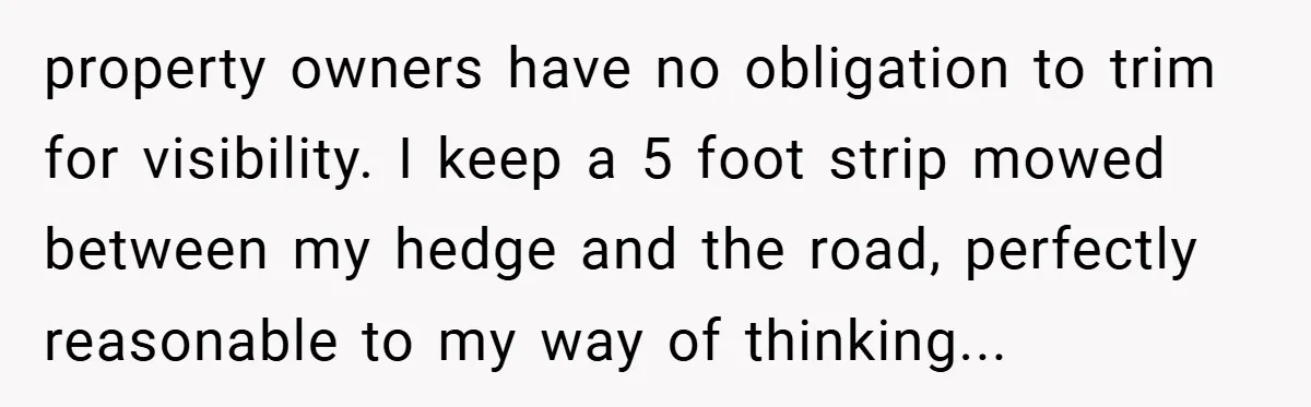property owners have no obligation to trim for visibility. I keep a 5 foot strip mowed between my hedge and the road, perfectly reasonable to my way of thinking...