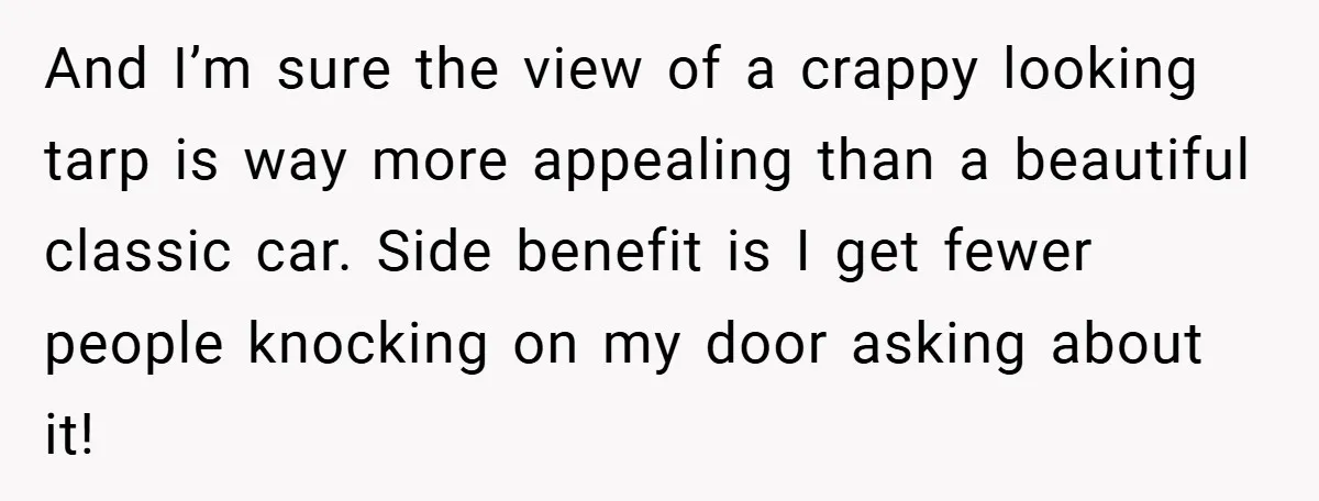 And I’m sure the view of a crappy looking tarp is way more appealing than a beautiful classic car. Side benefit is I get fewer people knocking on my door...