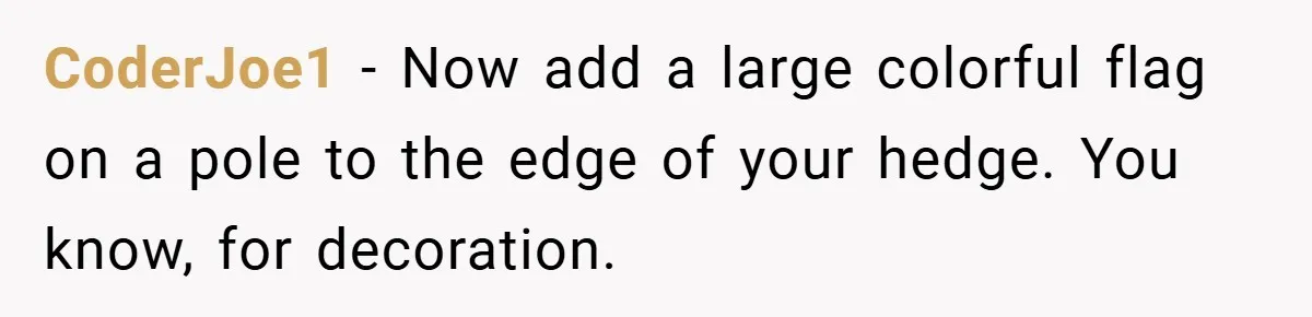 CoderJoe1 − Now add a large colorful flag on a pole to the edge of your hedge. You know, for decoration.