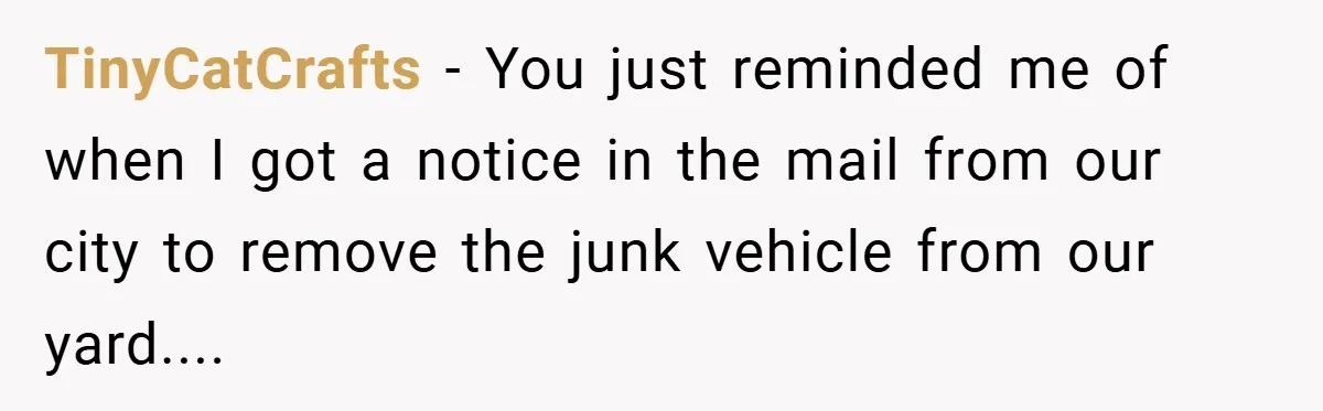 TinyCatCrafts − You just reminded me of when I got a notice in the mail from our city to remove the junk vehicle from our yard....