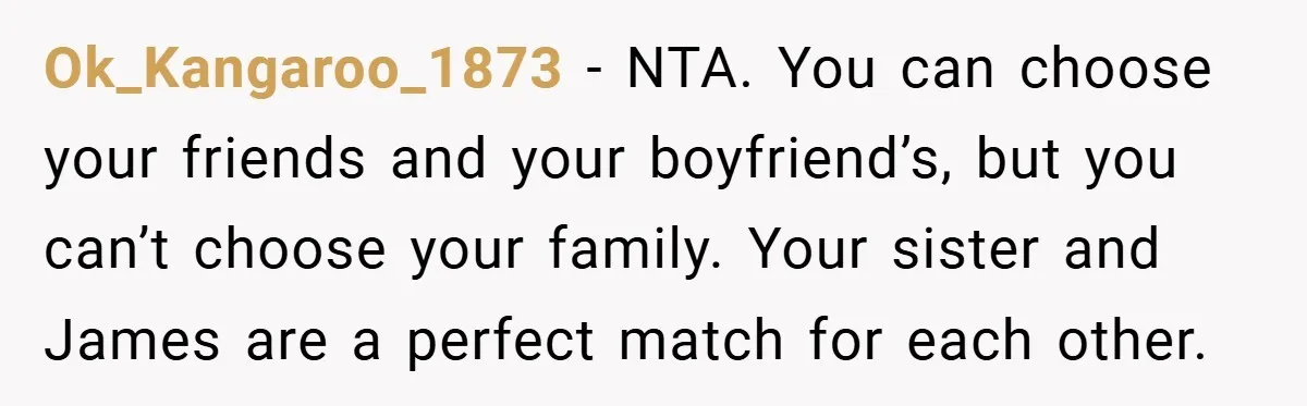 Ok_Kangaroo_1873 − NTA. You can choose your friends and your boyfriend’s, but you can’t choose your family. Your sister and James are a perfect match for each other.