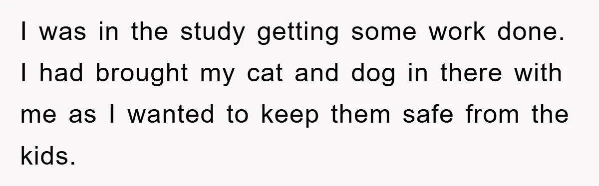 I was in the study getting some work done. I had brought my cat and dog in there with me as I wanted to keep them safe from the kids.