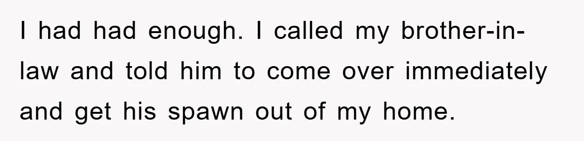I had had enough. I called my brother-in-law and told him to come over immediately and get his spawn out of my home.