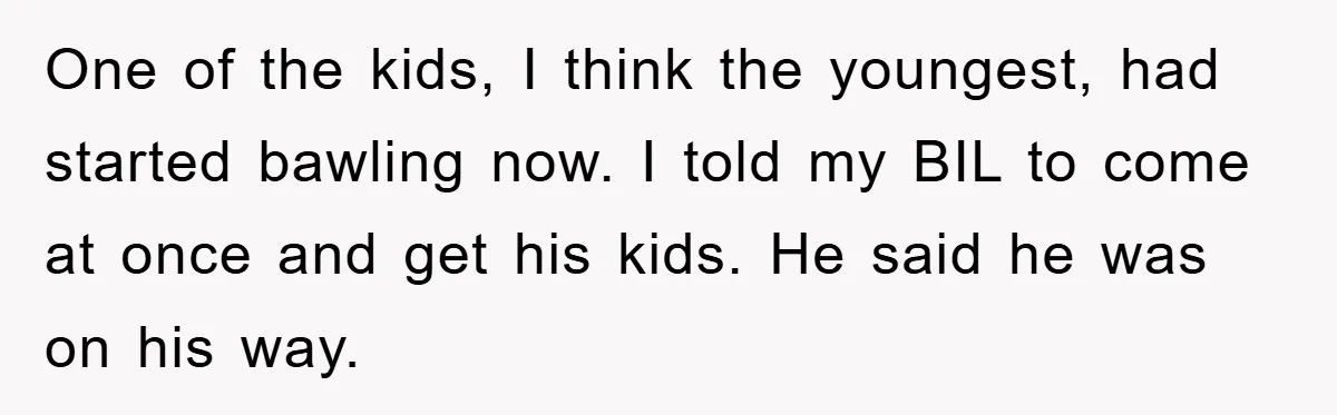 One of the kids, I think the youngest, had started bawling now. I told my BIL to come at once and get his kids. He said he was on his...