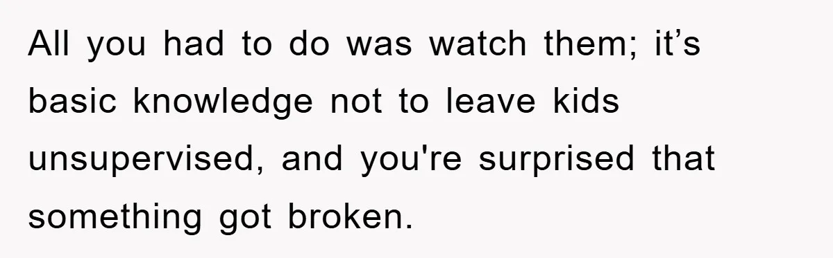 All you had to do was watch them; it’s basic knowledge not to leave kids unsupervised, and you're surprised that something got broken.