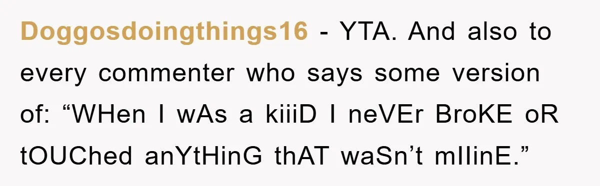 Doggosdoingthings16 − YTA. And also to every commenter who says some version of: “WHen I wAs a kiiiD I neVEr BroKE oR tOUChed anYtHinG thAT waSn’t mIIinE.”