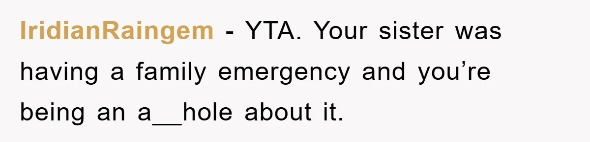 IridianRaingem − YTA. Your sister was having a family emergency and you’re being an a__hole about it.