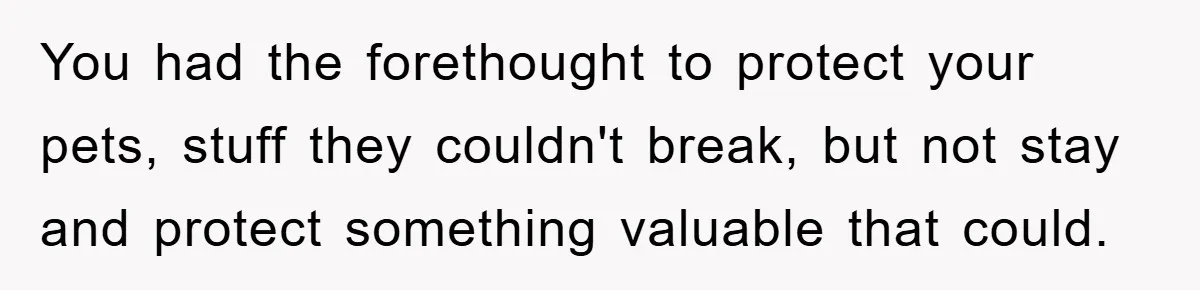 You had the forethought to protect your pets, stuff they couldn't break, but not stay and protect something valuable that could.