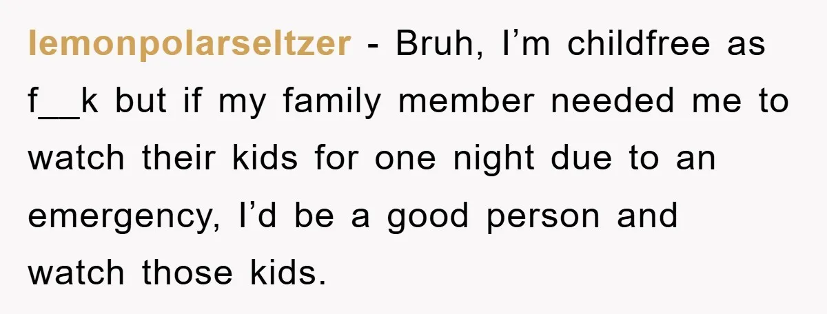 lemonpolarseltzer − Bruh, I’m childfree as f__k but if my family member needed me to watch their kids for one night due to an emergency, I’d be a good person...