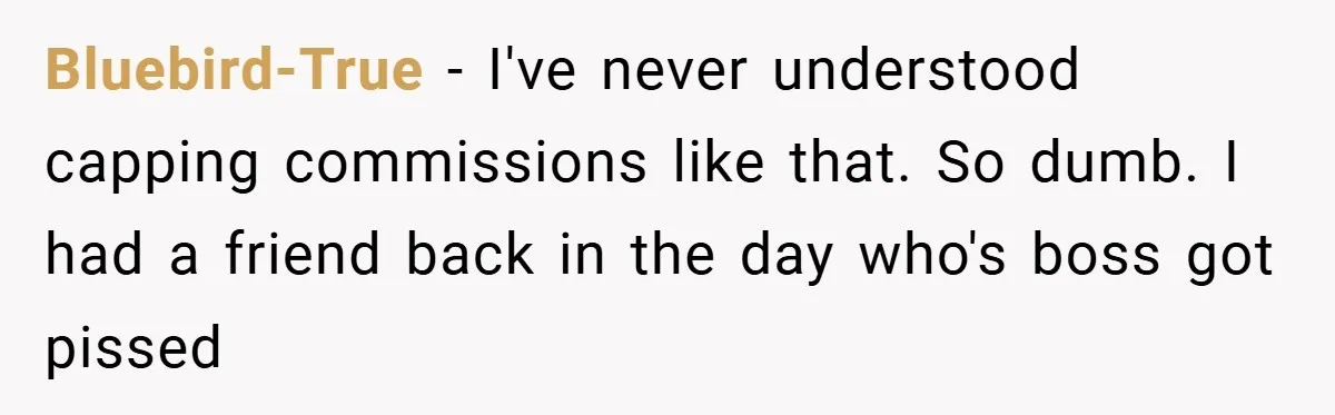 Bluebird-True − I've never understood capping commissions like that. So dumb. I had a friend back in the day who's boss got pissed